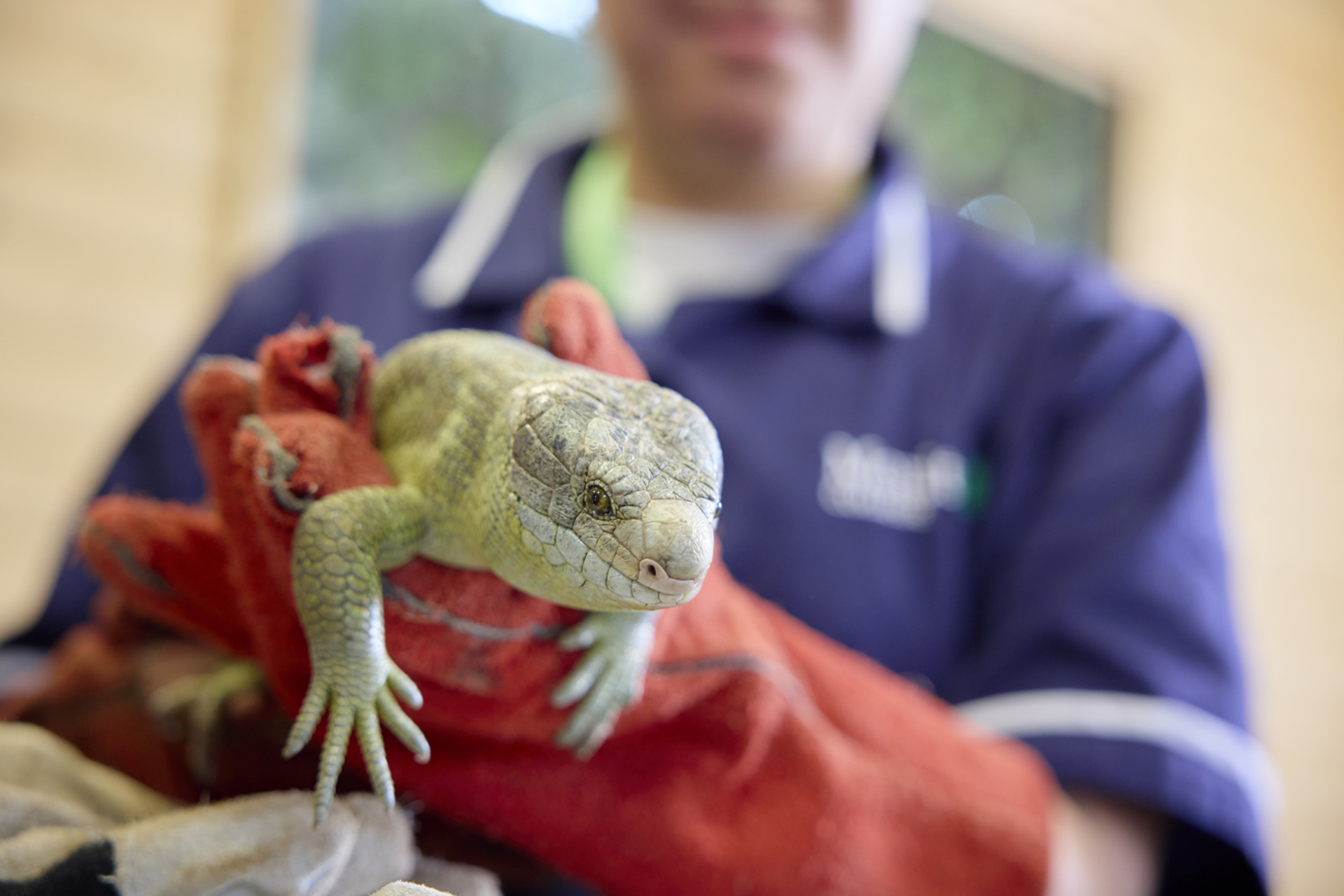 Animal Welfare Moulton College Animal Welfare 290923 0346