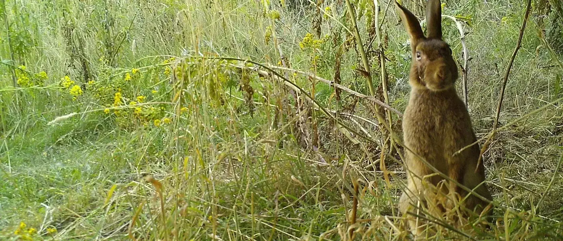 IMG 0453