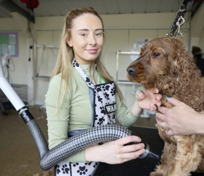 Dog Grooming and Salon Management