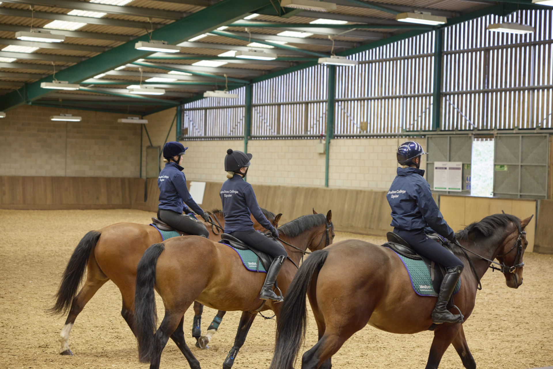 Equine Moulton College Equine 2809234 1219