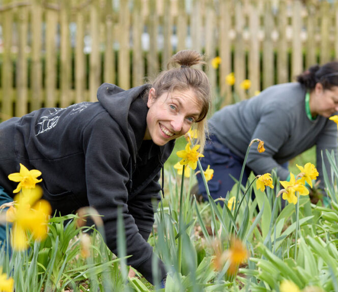 Horticulture