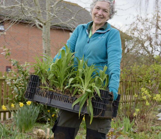 RHS Practical Horticulture