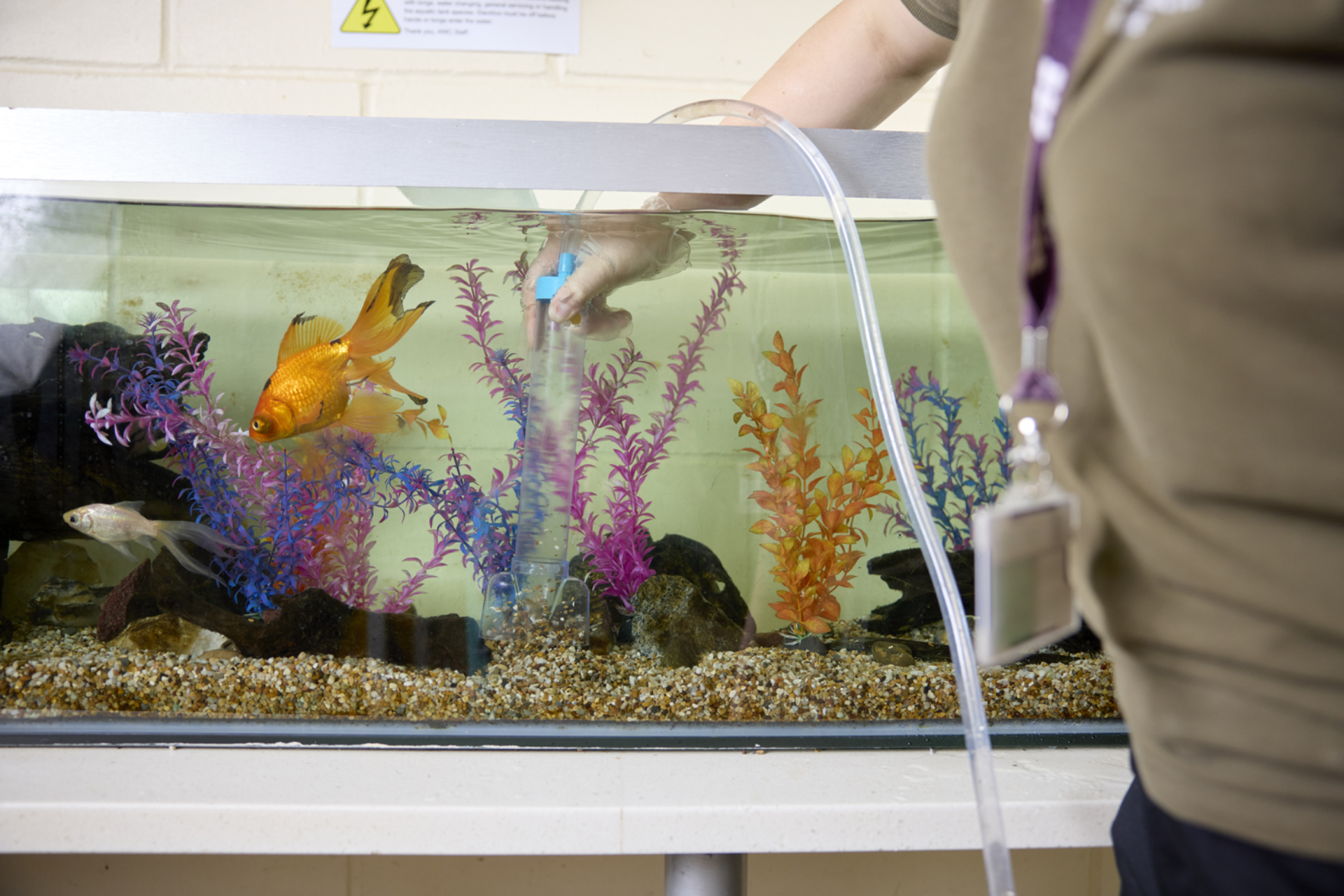 Moulton College Animal Welfare 290923 1209