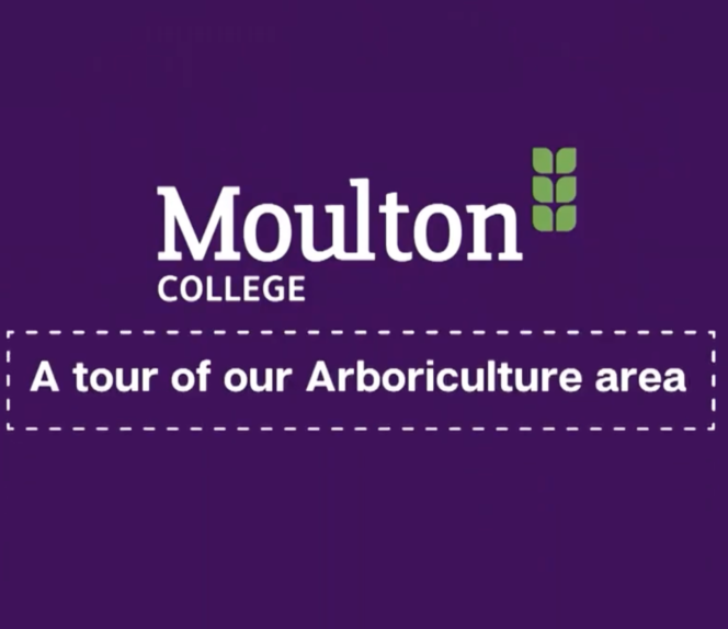 Arboriculture
