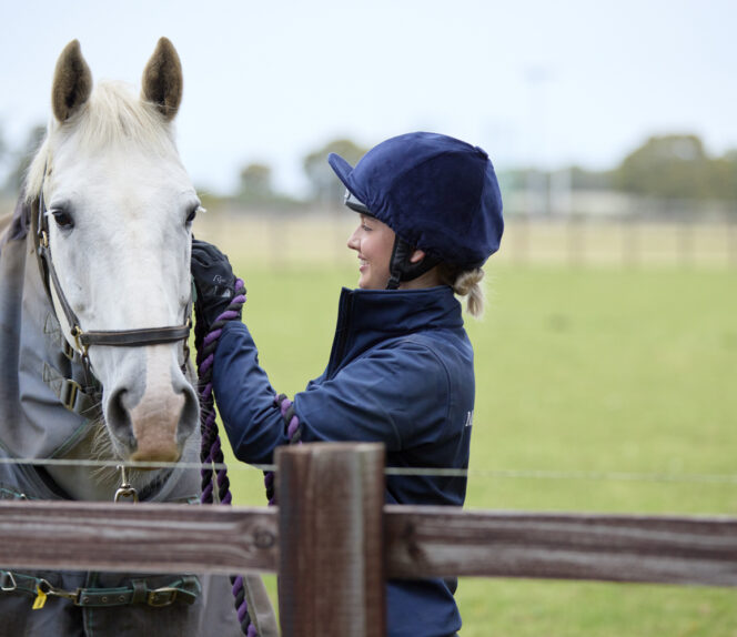 Equine