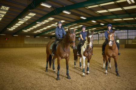 Equine Moulton College Equine 2809234 1563