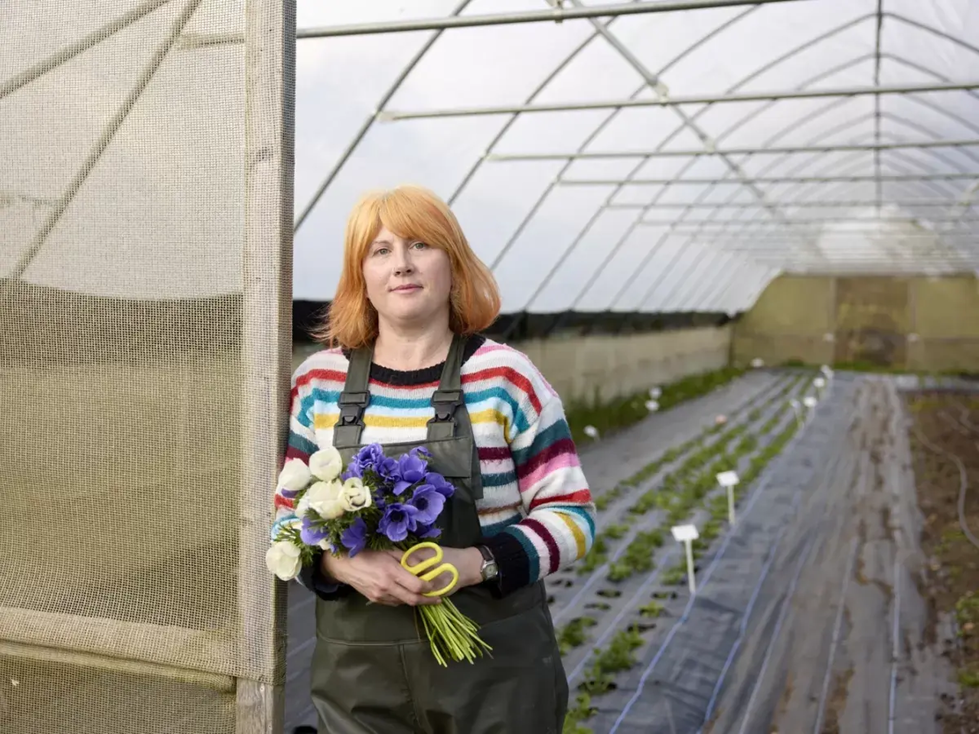 Moulton College Flower And Farmer 190325 0242 2025 05 12 131758 bruu
