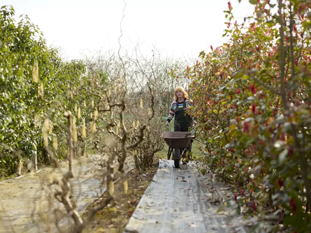 Moulton College Flower And Farmer 190325 0347