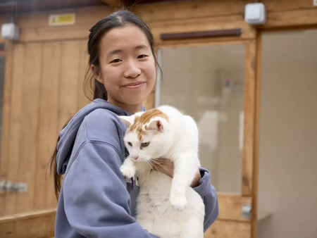 Moulton College Cloverlea Cattery 310125 0268