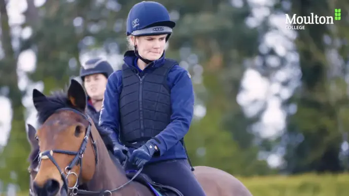 Equine video thumbnail