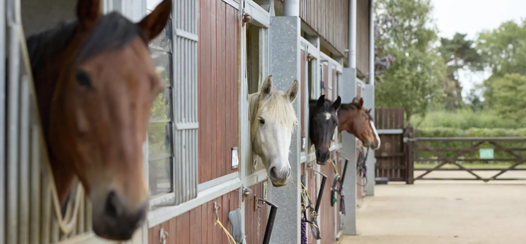 Moulton College Equine 2809234 0581